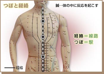 つぼと経路